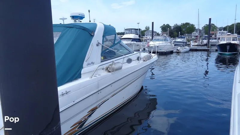 Slide: The Image of Sea Ray 290 Sundancer 1998 - 15587708