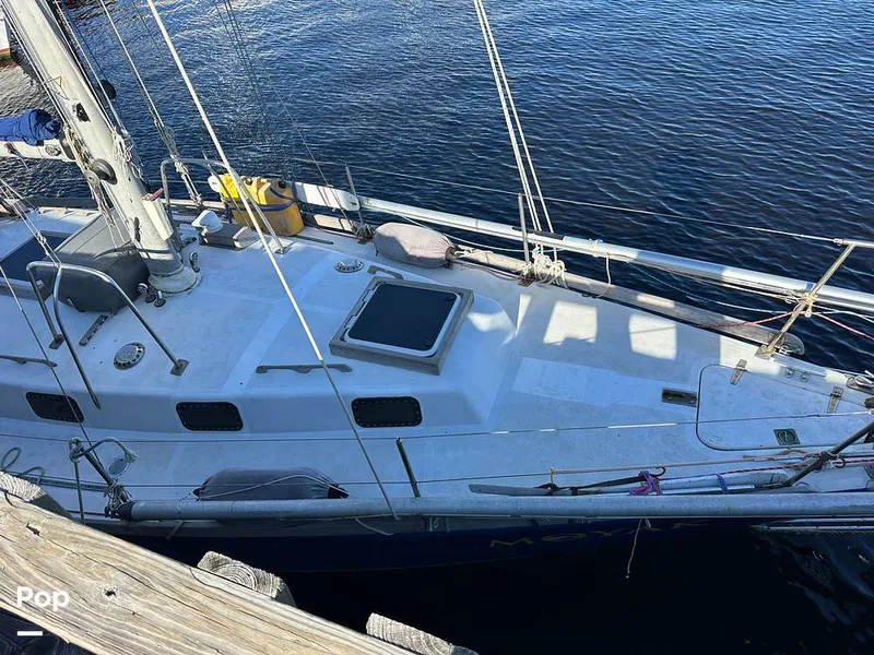 Slide: The Image of 1980 Custom Built Navigateurs J.E.L. Custom 37 - 15236396