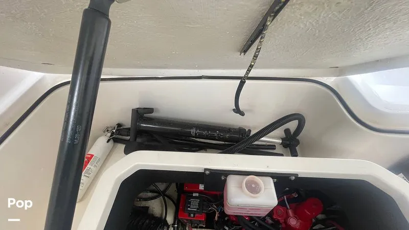 Slide: The Image of Regal 26 XO 2019 - 15410935