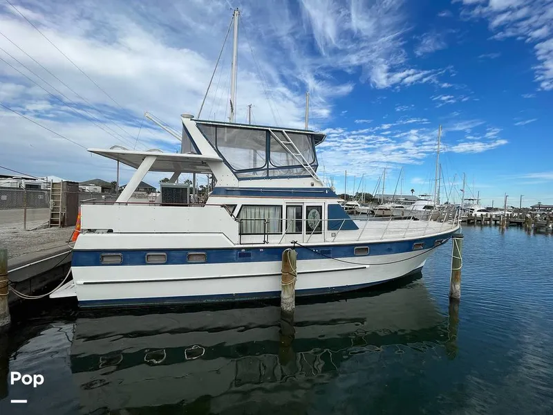 The Image of 1984 Nova Marine Sundeck 42 - 15210663