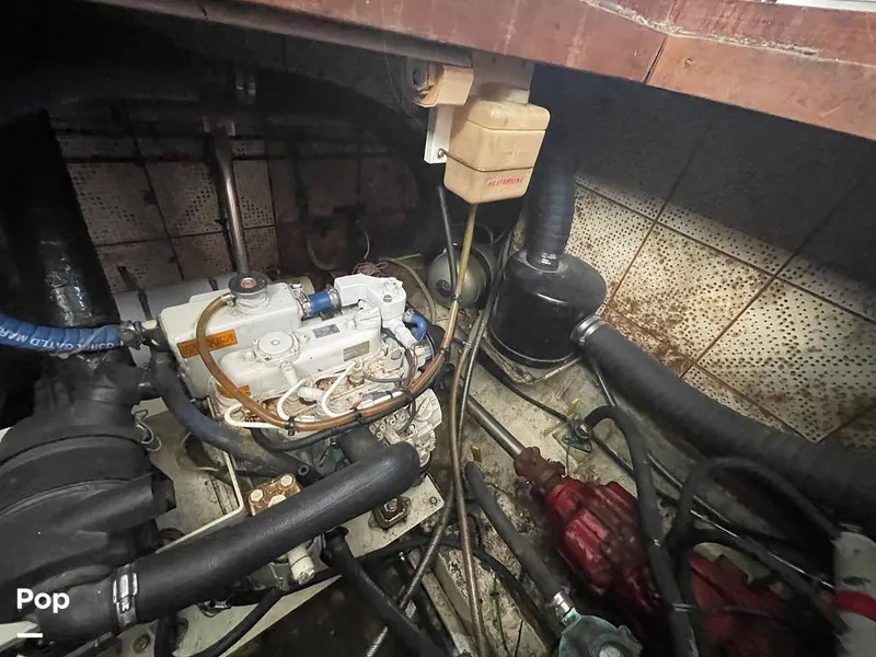 Slide: The Image of Sundeck 42 1984 - 15267976