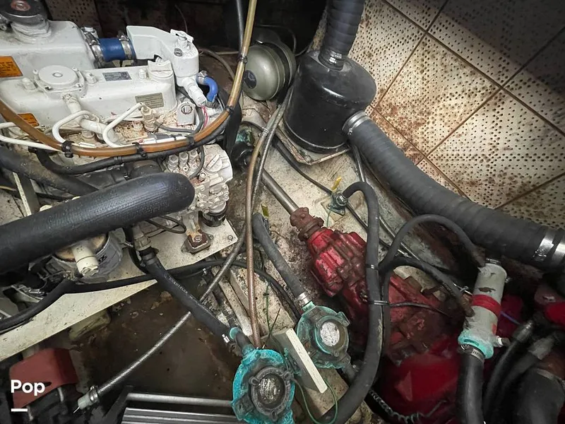 Slide: The Image of Sundeck 42 1984 - 15268085