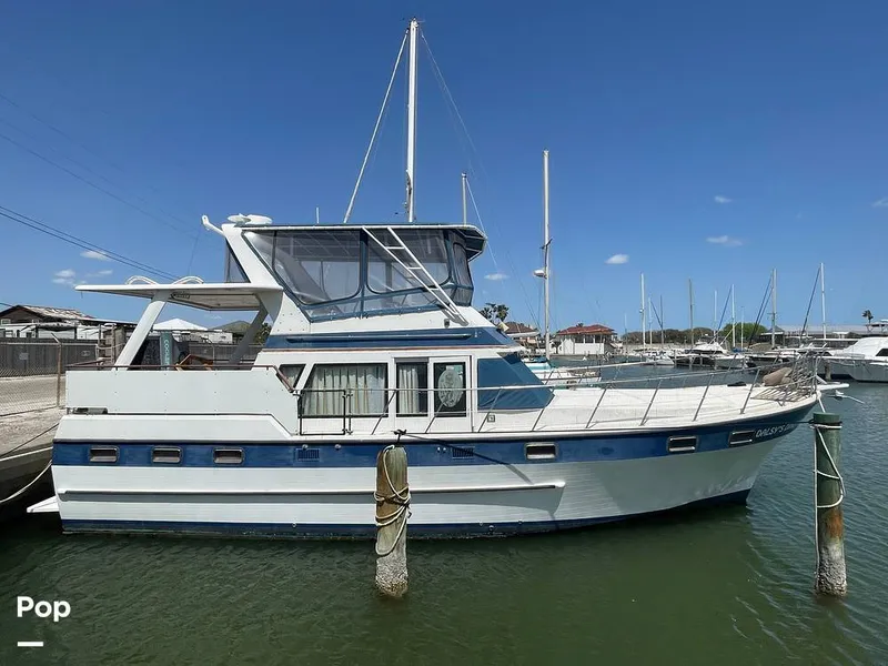 Slide: The Image of Sundeck 42 1984 - 15265588