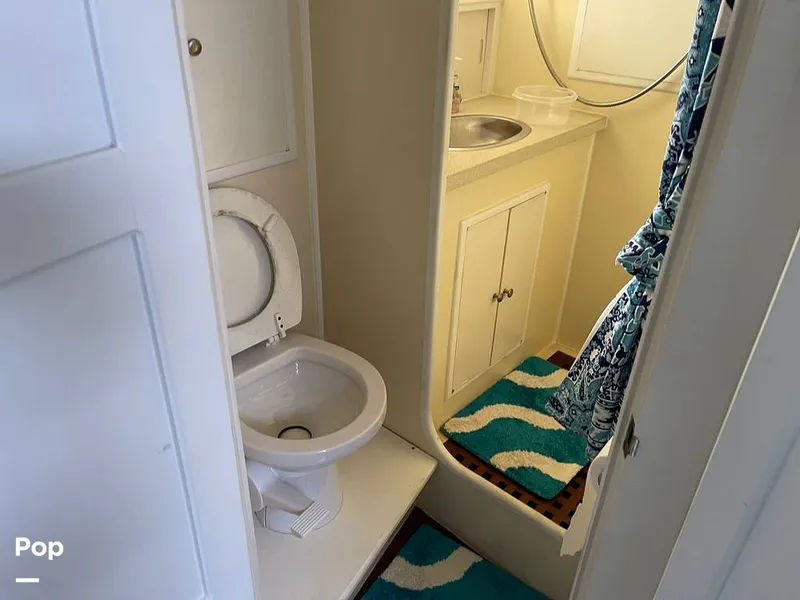 Slide: The Image of Head - 15210669