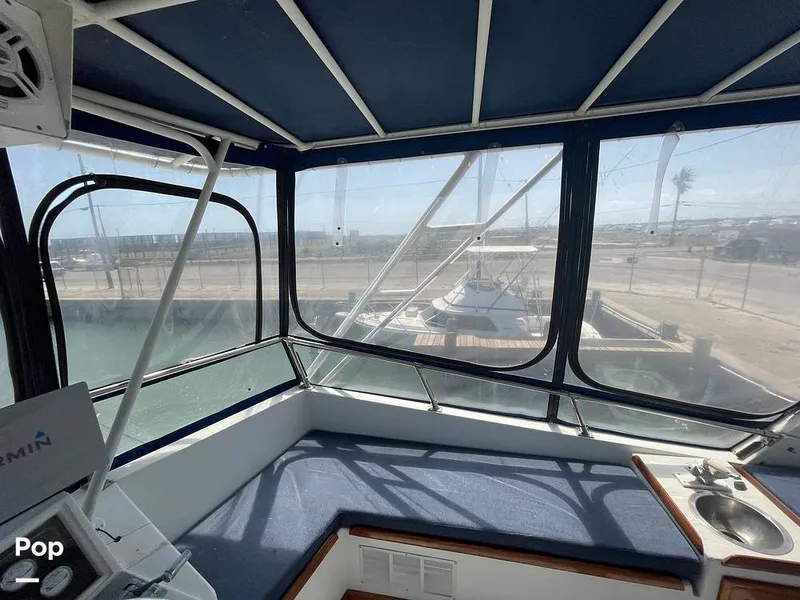 Slide: The Image of Isinglass - 15265759