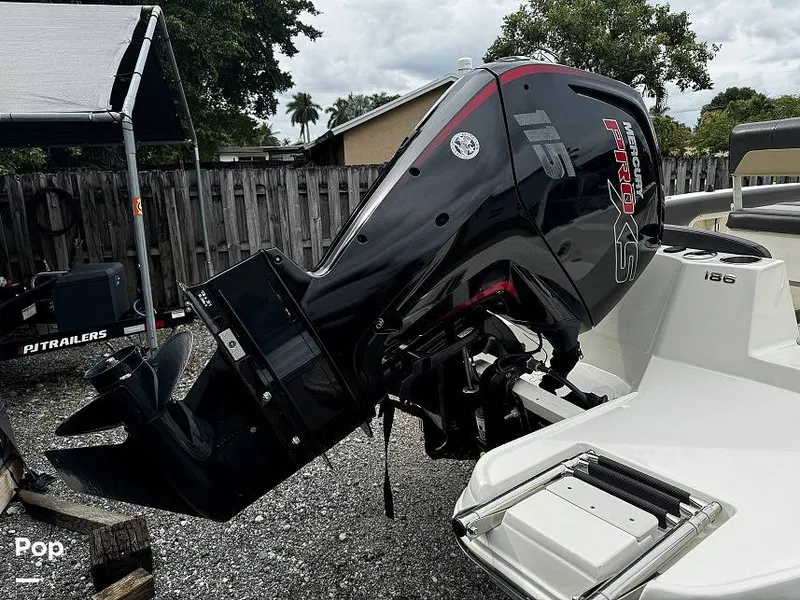 Slide: The Image of Stingray 186CC 2019 - 15282603