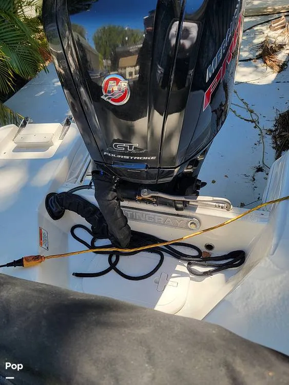 Slide: The Image of Stingray 186CC 2019 - 15282596