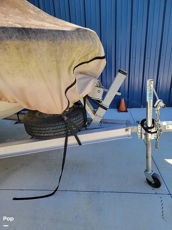 Slide: The Image of Stingray 186CC 2019 - 15282599