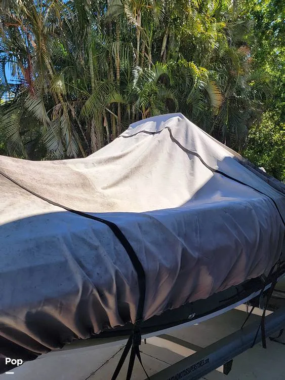 Slide: The Image of Stingray 186CC 2019 - 15282600