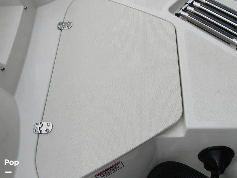 Slide: The Image of Stingray 231 DC 2023 - 15236076