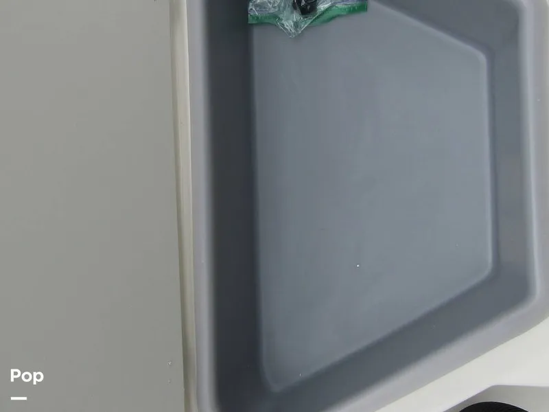 Slide: The Image of Stingray 231 DC 2023 - 15236078