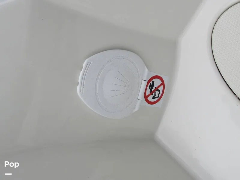 Slide: The Image of Stingray 231 DC 2023 - 15236080