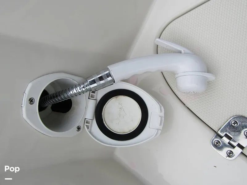 Slide: The Image of Stingray 231 DC 2023 - 15236081