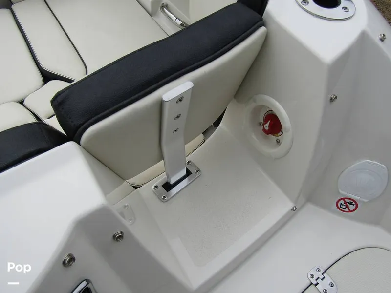 Slide: The Image of Stingray 231 DC 2023 - 15236082