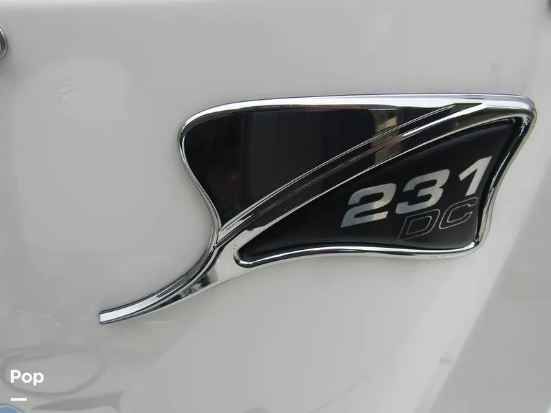 Slide: The Image of Stingray 231 DC 2023 - 15236085