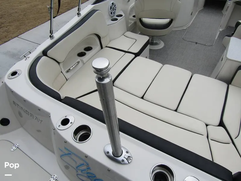 Slide: The Image of Stingray 231 DC 2023 - 15236087