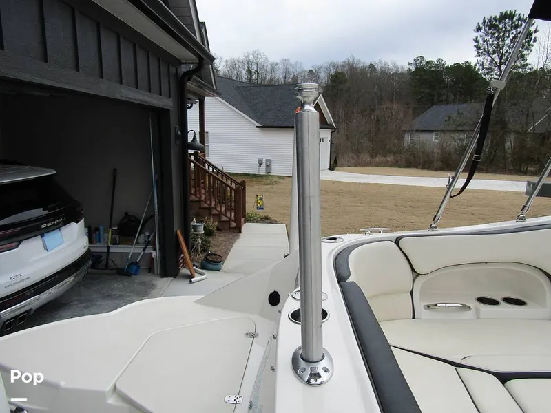 Slide: The Image of Stingray 231 DC 2023 - 15236088