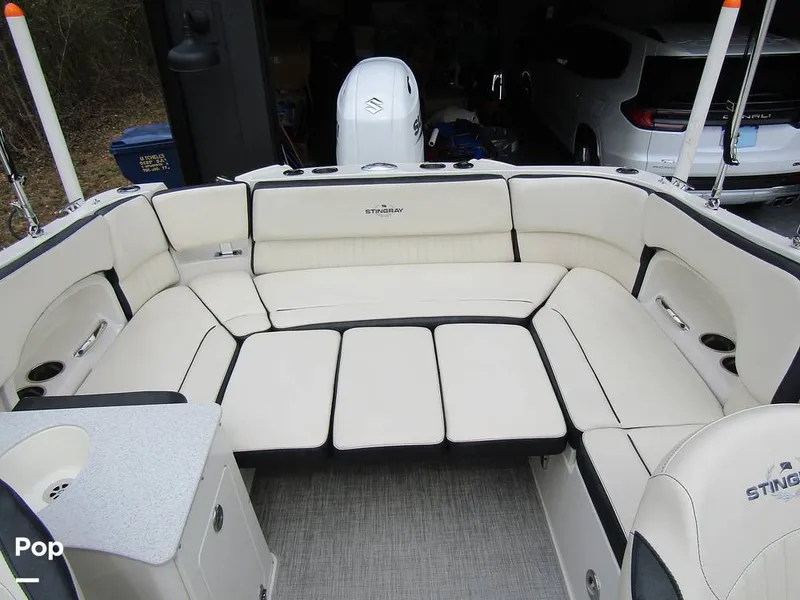 Slide: The Image of Stingray 231 DC 2023 - 15236092