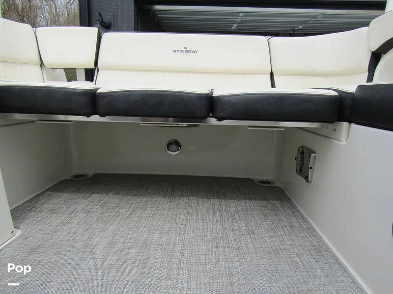 Slide: The Image of Stingray 231 DC 2023 - 15236093