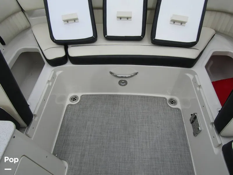 Slide: The Image of Stingray 231 DC 2023 - 15236095