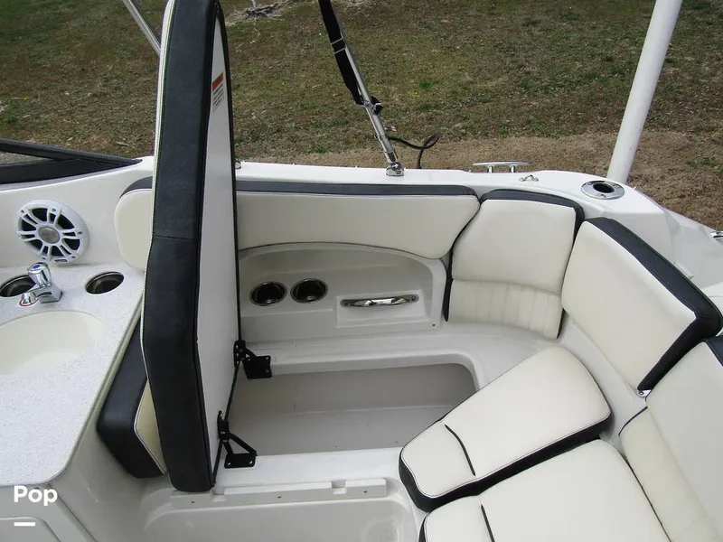 Slide: The Image of Stingray 231 DC 2023 - 15236097