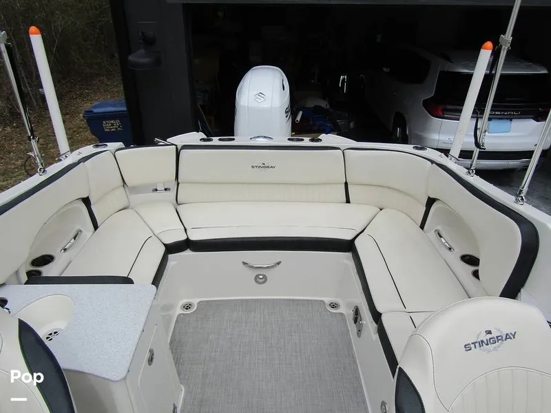 Slide: The Image of Stingray 231 DC 2023 - 15236098