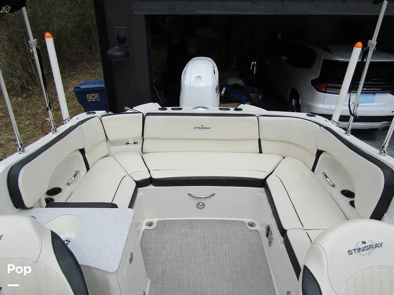 Slide: The Image of Stingray 231 DC 2023 - 15236099