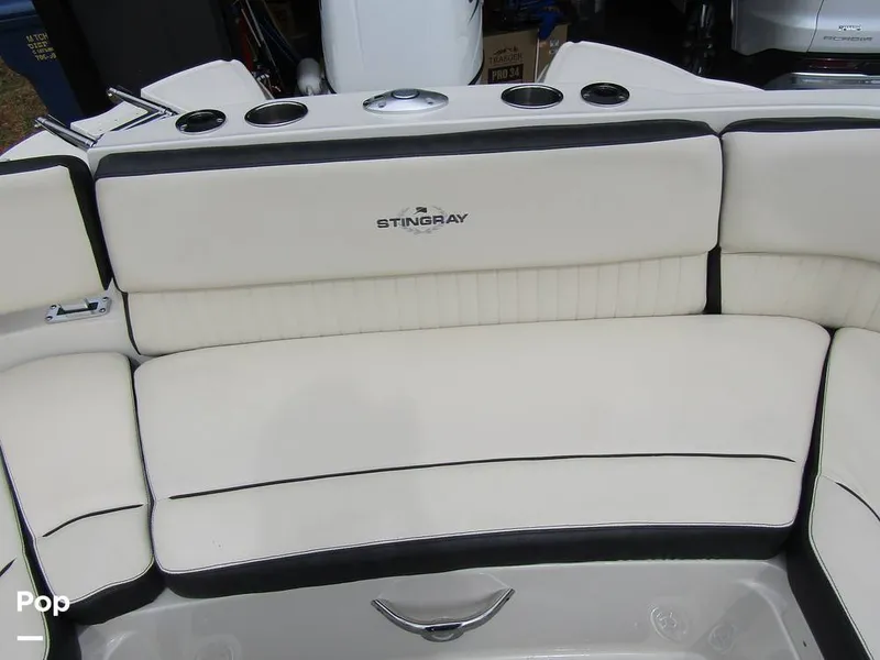 Slide: The Image of Stingray 231 DC 2023 - 15236100