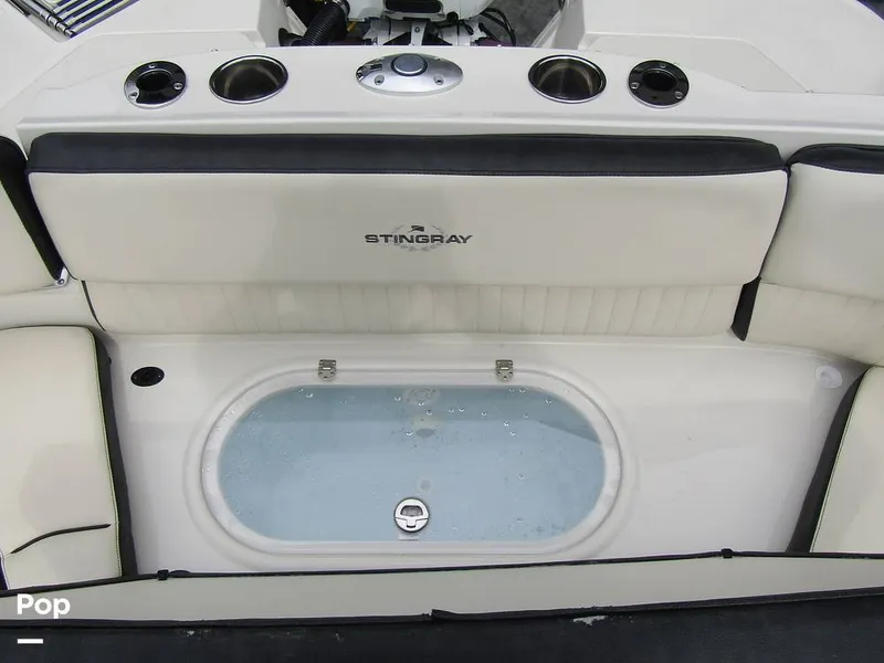 Slide: The Image of Stingray 231 DC 2023 - 15236101