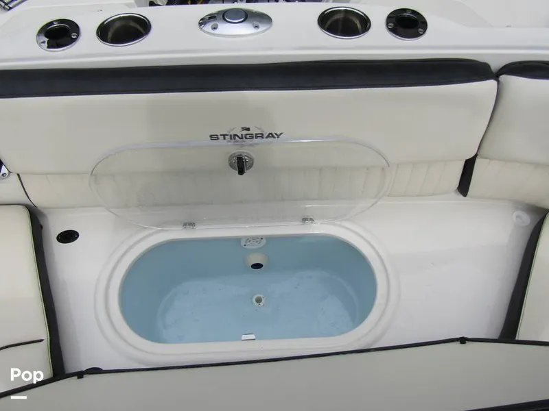 Slide: The Image of Stingray 231 DC 2023 - 15236102