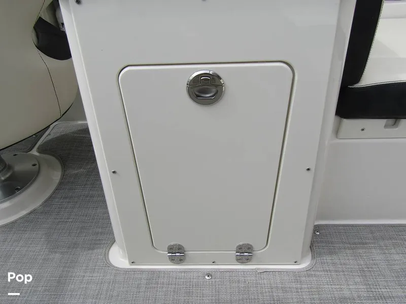 Slide: The Image of Stingray 231 DC 2023 - 15236105