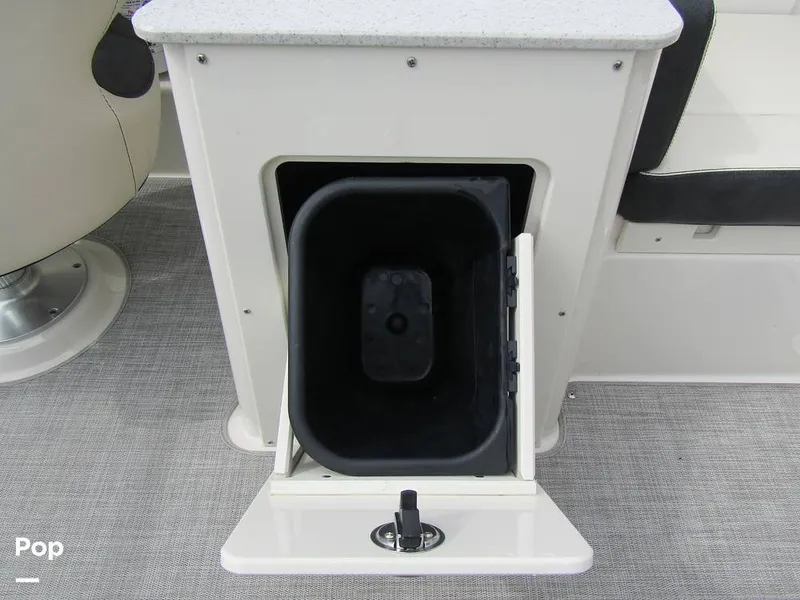 Slide: The Image of Stingray 231 DC 2023 - 15236106