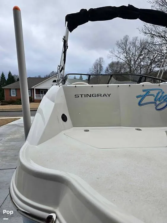 Slide: The Image of Stingray 231 DC 2023 - 15206843