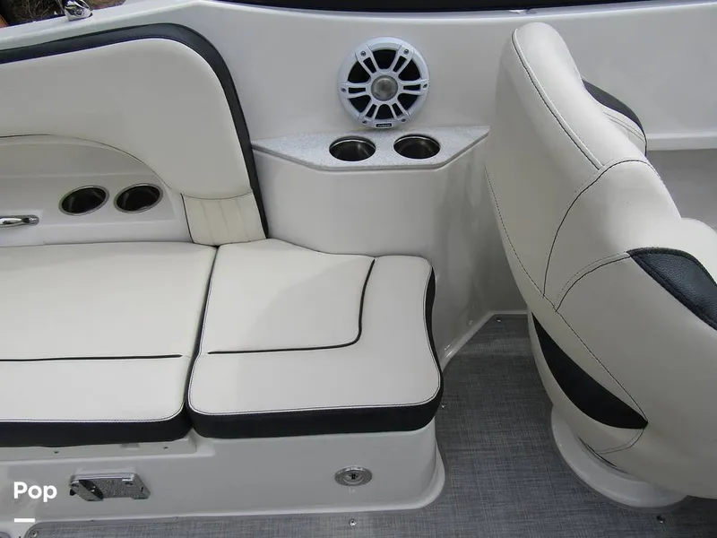 Slide: The Image of Stingray 231 DC 2023 - 15236107