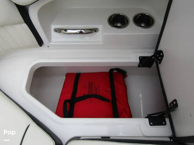 Slide: The Image of Stingray 231 DC 2023 - 15236108