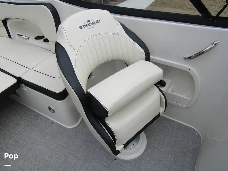 Slide: The Image of Stingray 231 DC 2023 - 15236111