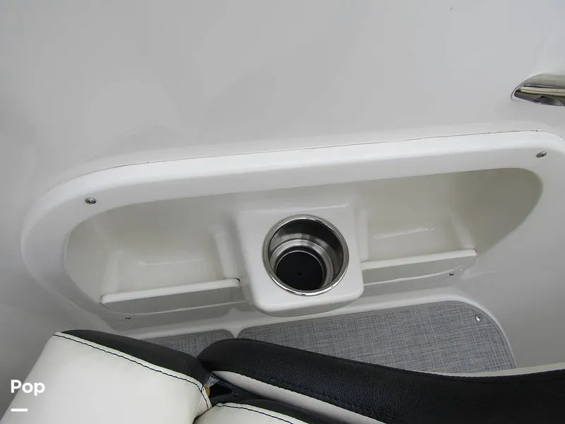 Slide: The Image of Stingray 231 DC 2023 - 15236112