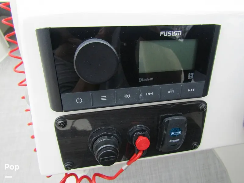 Slide: The Image of Stingray 231 DC 2023 - 15236123