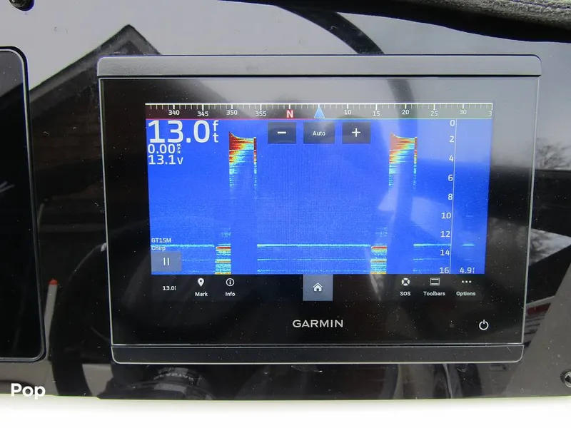 Slide: The Image of Stingray 231 DC 2023 - 15236129