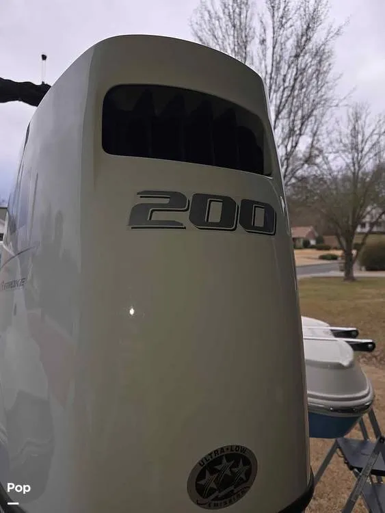 Slide: The Image of Stingray 231 DC 2023 - 15206829