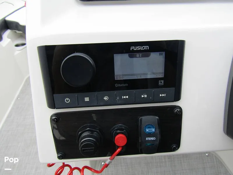 Slide: The Image of Stingray 231 DC 2023 - 15236130