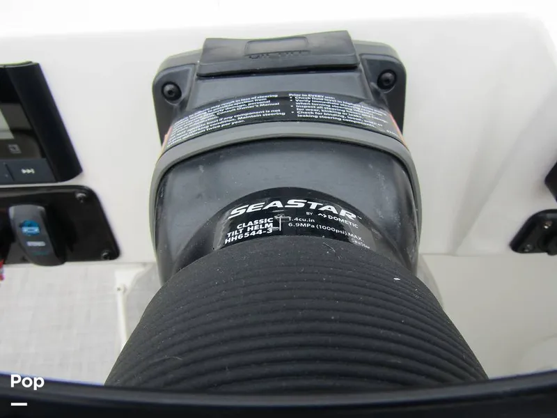 Slide: The Image of Stingray 231 DC 2023 - 15236131