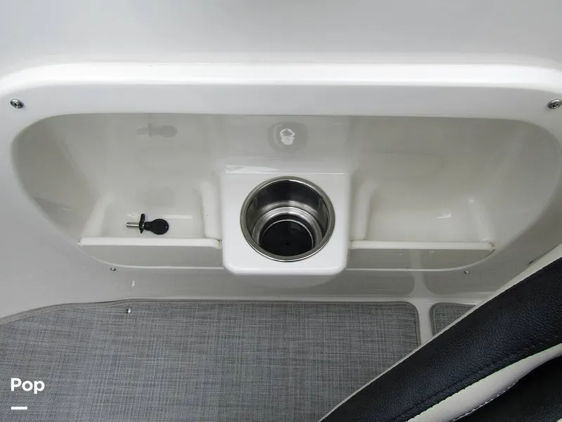 Slide: The Image of Stingray 231 DC 2023 - 15236132