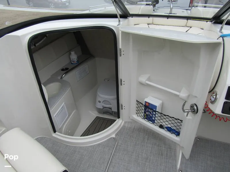 Slide: The Image of Stingray 231 DC 2023 - 15236135