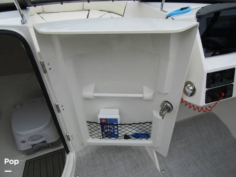 Slide: The Image of Stingray 231 DC 2023 - 15236136