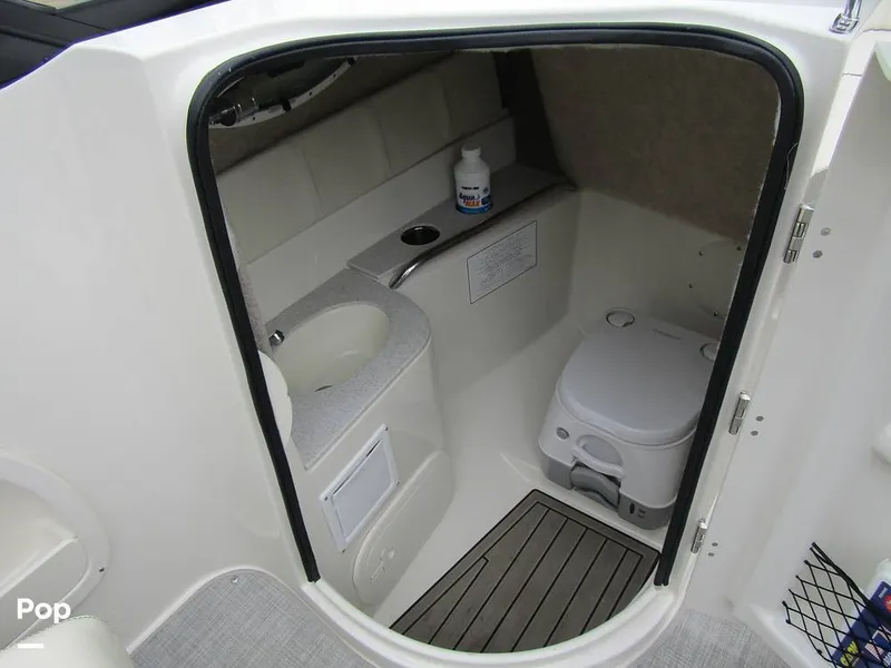 Slide: The Image of Stingray 231 DC 2023 - 15236140