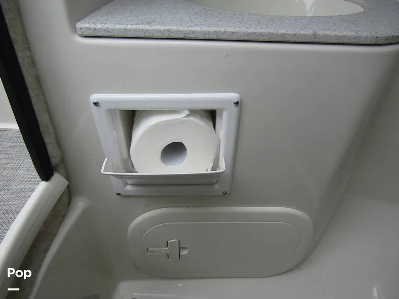 Slide: The Image of Stingray 231 DC 2023 - 15236144