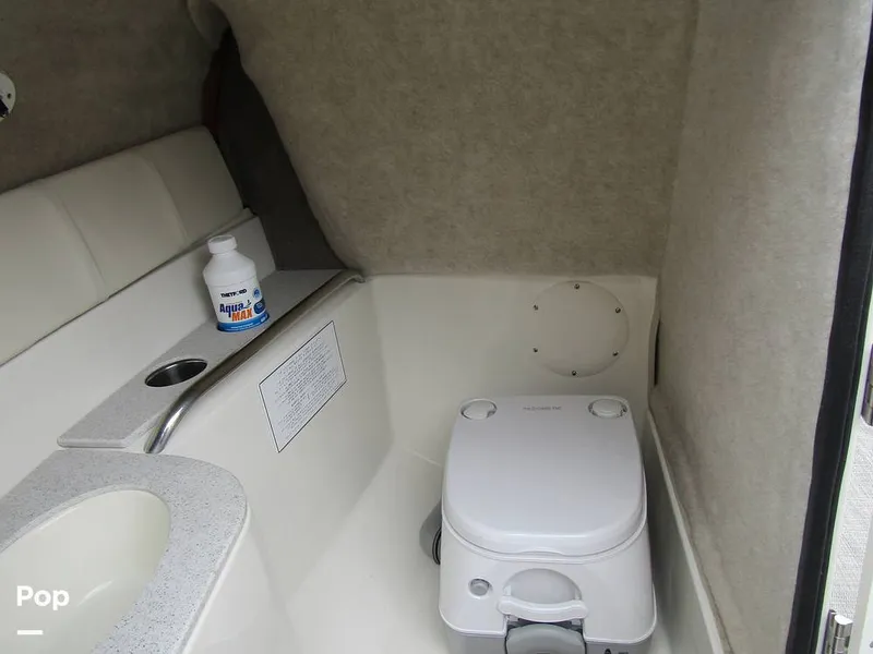 Slide: The Image of Stingray 231 DC 2023 - 15236146