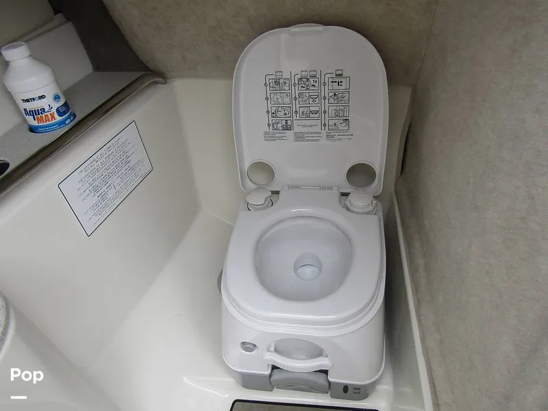 Slide: The Image of Stingray 231 DC 2023 - 15236147