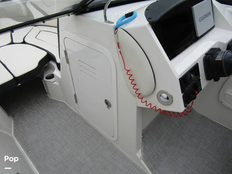 Slide: The Image of Stingray 231 DC 2023 - 15236148